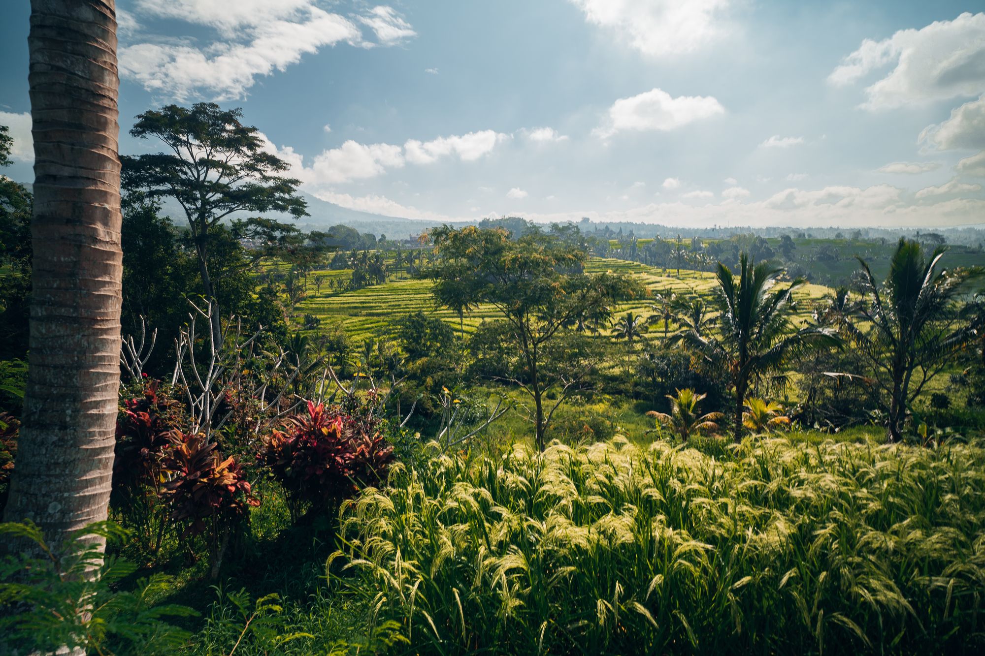 Ein Blick ins Paradies: Die Jatiluwih Reisterrassen auf Bali