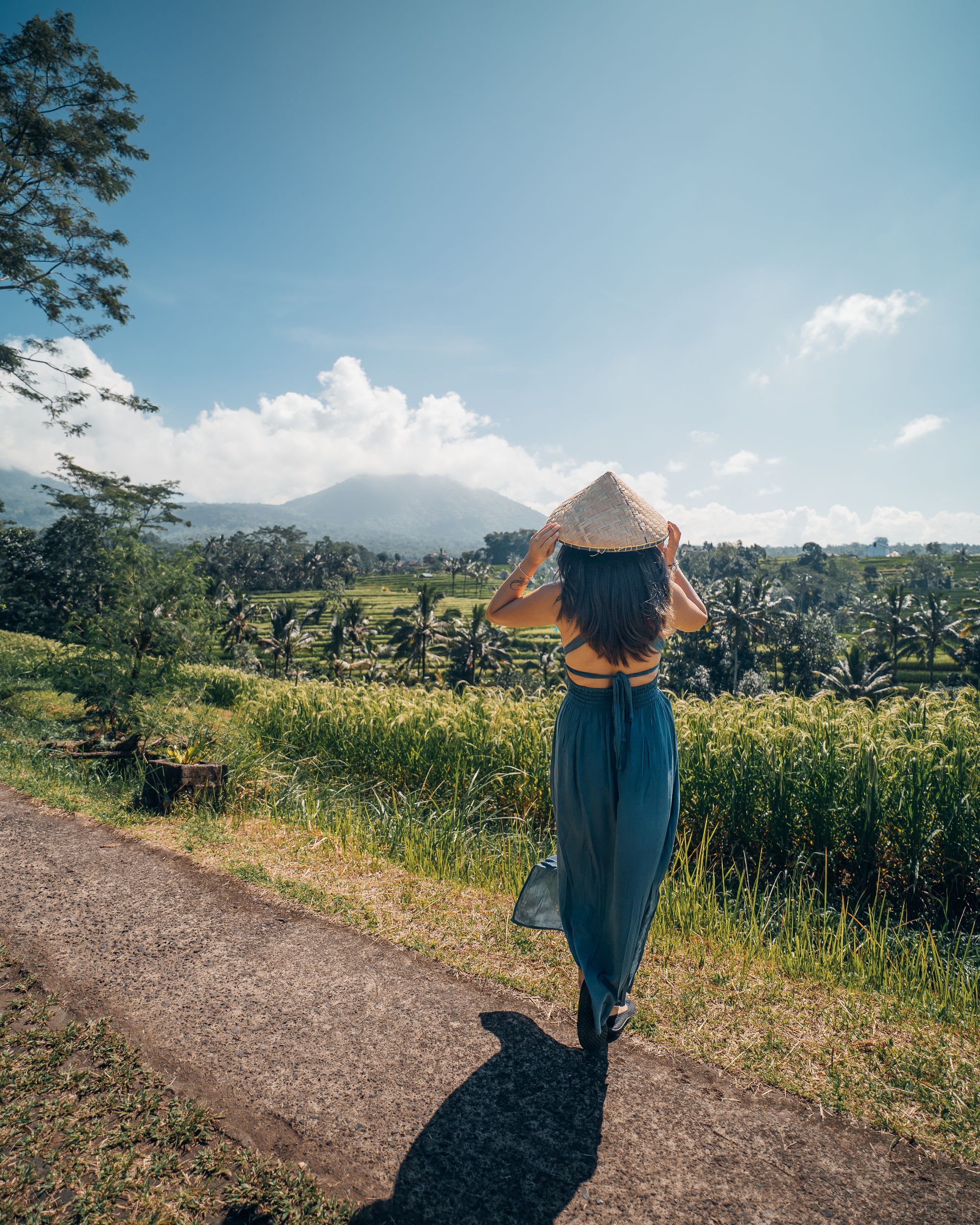 Ein Blick ins Paradies: Die Jatiluwih Reisterrassen auf Bali