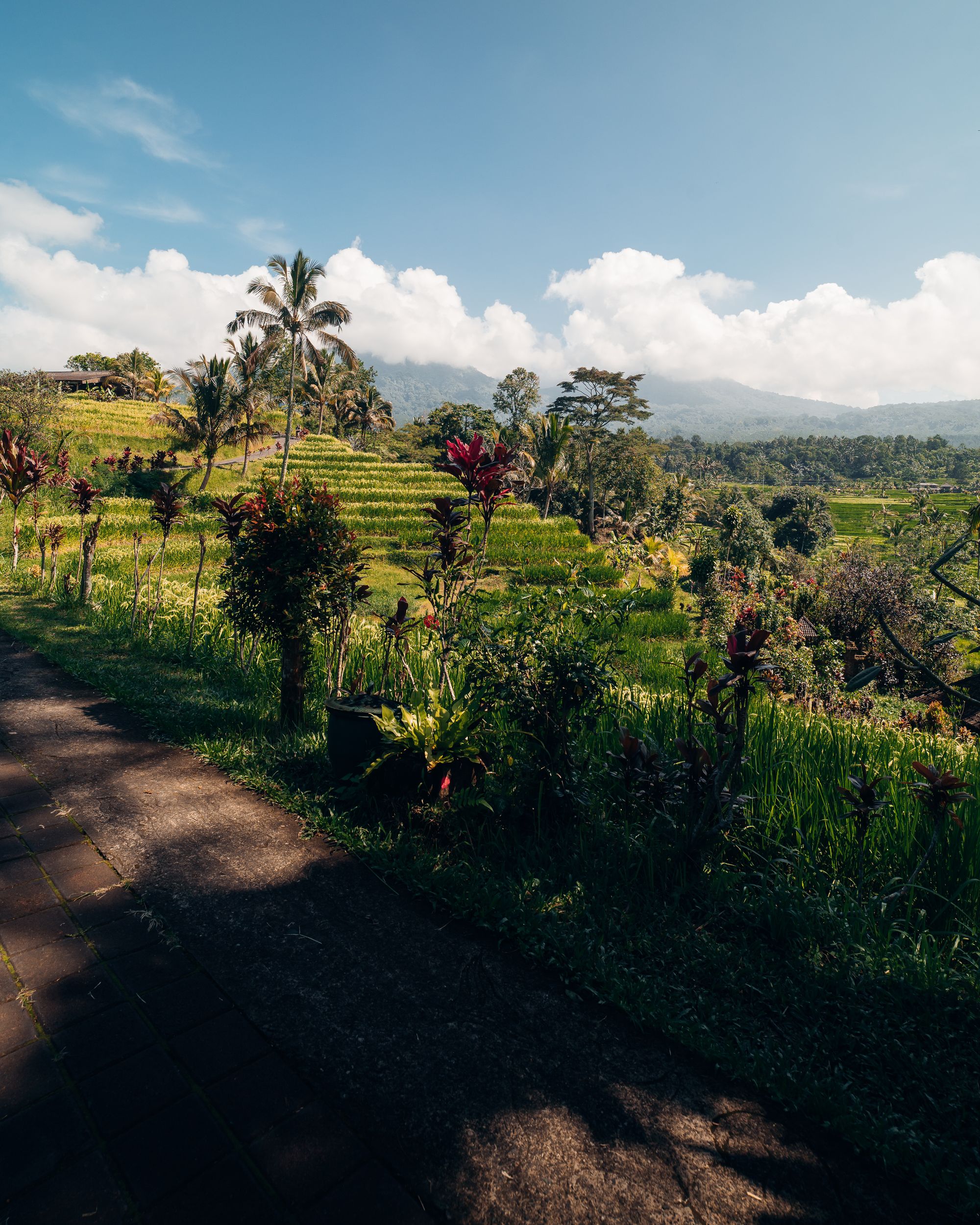 Ein Blick ins Paradies: Die Jatiluwih Reisterrassen auf Bali