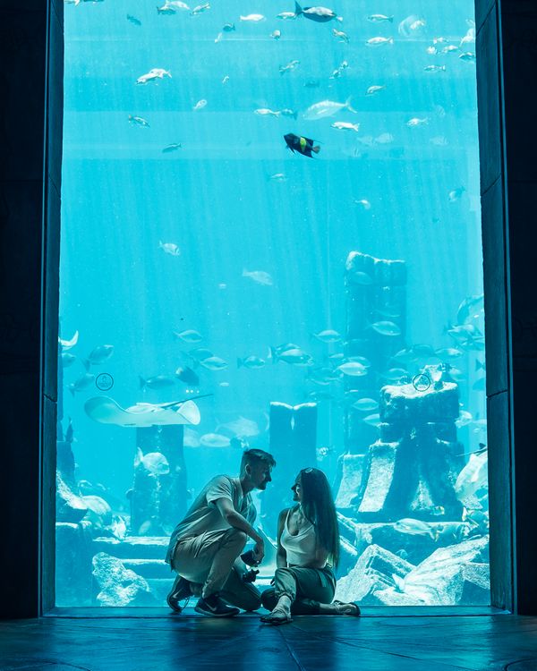 Das Lost Chamber Aquarium in Atlantis